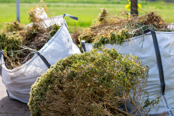 Best Basement Cleanout Services  in Reamstown, PA